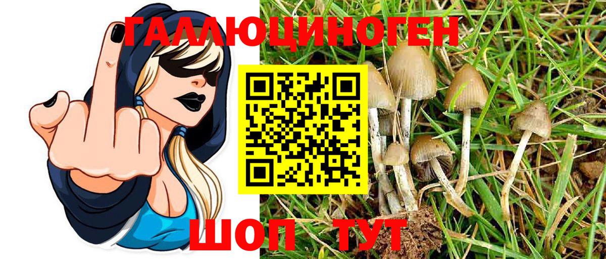 Красноярск  Галлюциногенные грибы Psilocybine cubensis  Вход с VPN 